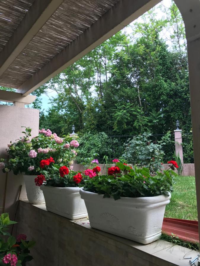 Villa Alla Bed And Breakfast Herceg Novi Luaran gambar