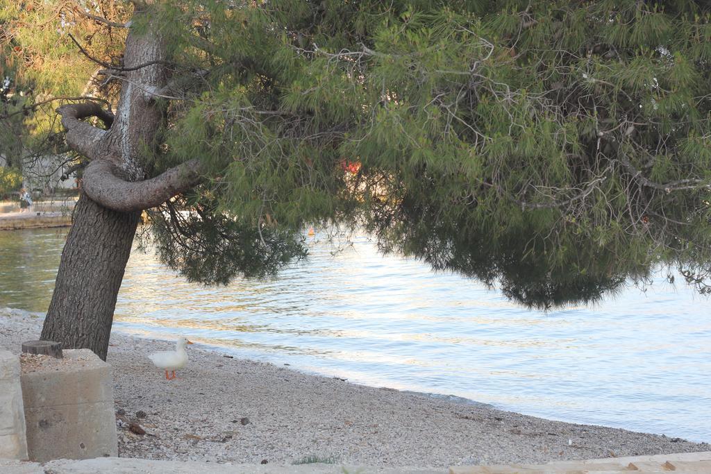Villa Alla Bed And Breakfast Herceg Novi Luaran gambar