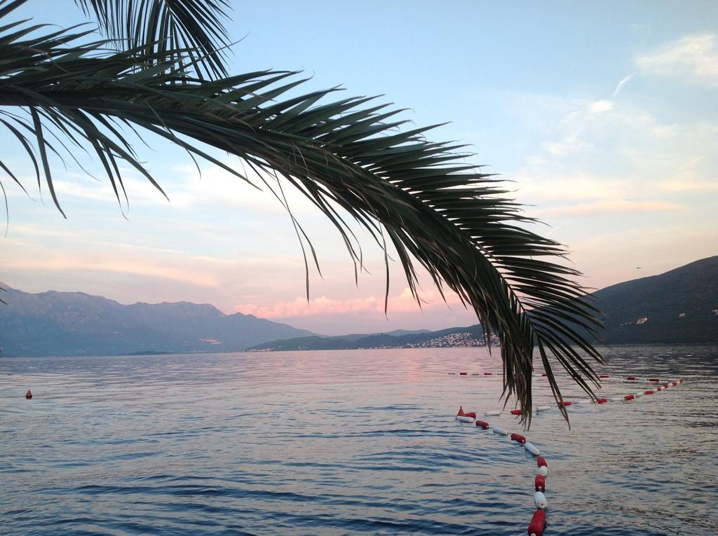 Villa Alla Bed And Breakfast Herceg Novi Luaran gambar