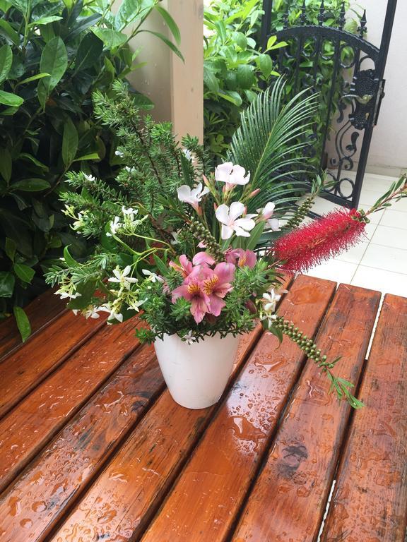 Villa Alla Bed And Breakfast Herceg Novi Luaran gambar